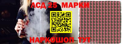 гидра Тара