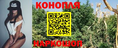 гидра Тара