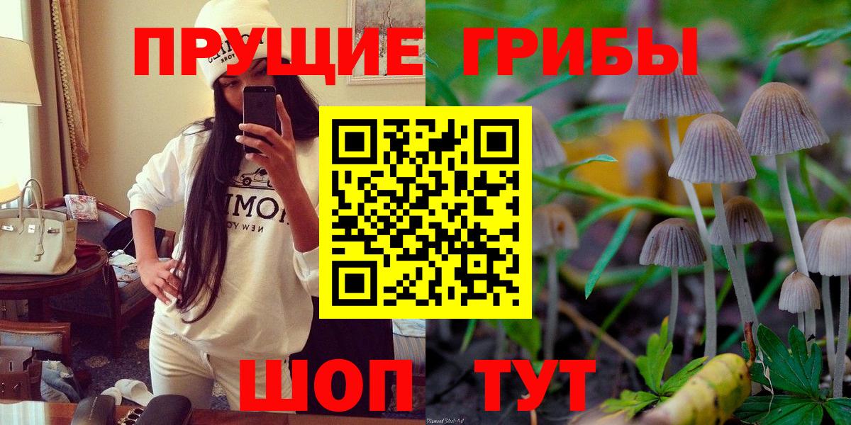 Галлюциногенные грибы GOLDEN TEACHER Нарткала