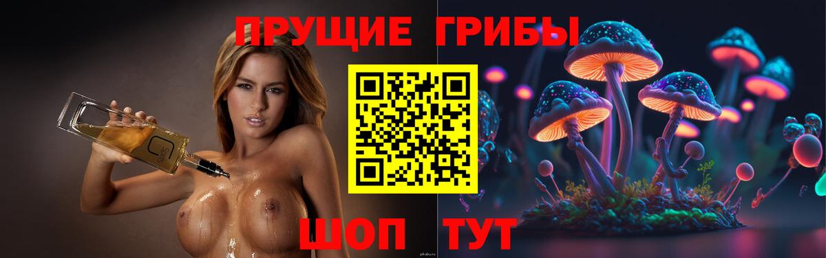 Нарткала  Галлюциногенные грибы мухоморы  закладки  Вход с VPN 